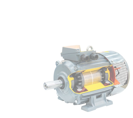 Low Voltage AC Motor